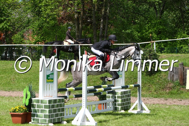 005M4893_Saphir_Stil A.JPG